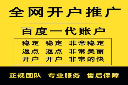 成功运用SEM服务实现品牌快速成长的案例