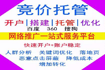 成功案例：SEM竞价托管的策略与效果